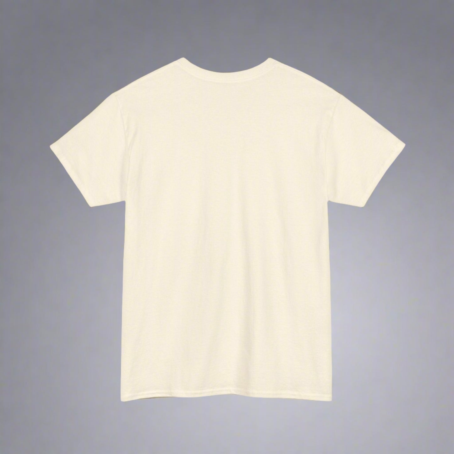 Heavy T-Shirt