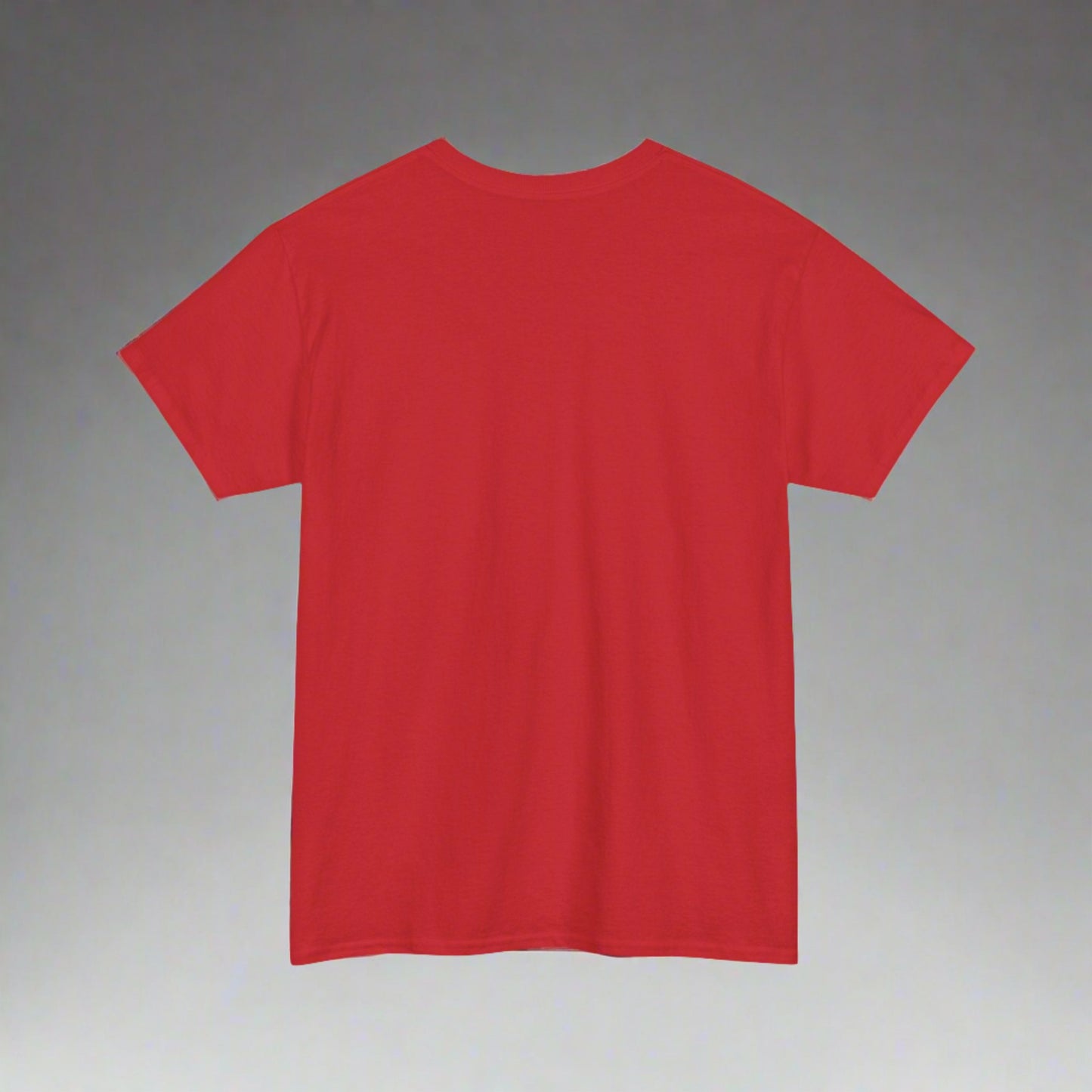 Heavy T-Shirt